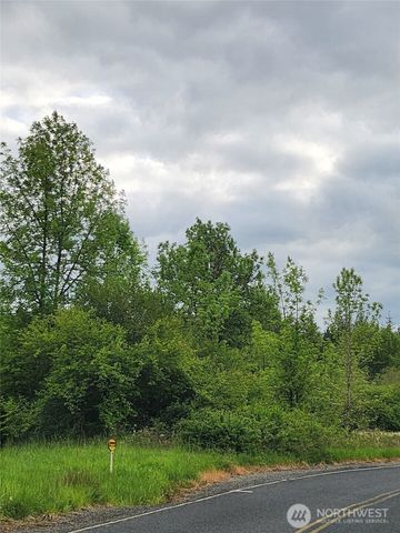 0 Henriot Road, Toledo, WA 98591