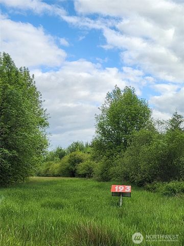 0 Henriot Road, Toledo, WA 98591