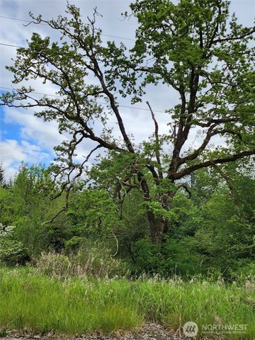 0 Henriot Road, Toledo, WA 98591