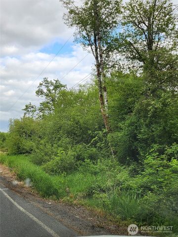 0 Henriot Road, Toledo, WA 98591