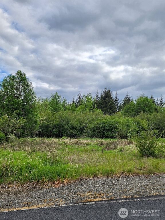 0 Henriot Road, Toledo, WA 98591