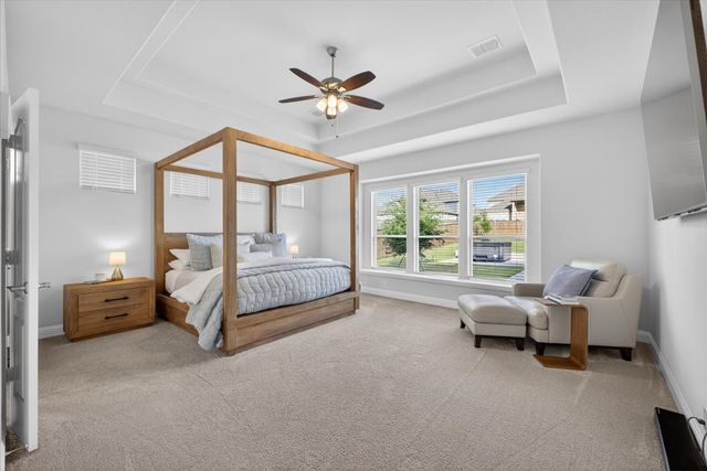 11900 Tanager Lane, Cross Roads, TX 76227