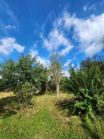 798 Nickajack Road, Trenton, GA 30752