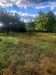 798 Nickajack Road, Trenton, GA 30752