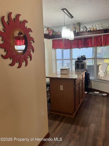 4370 Craigdarragh Avenue, Spring Hill, FL 34606