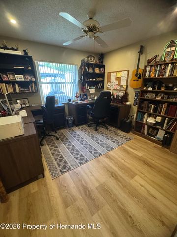 4370 Craigdarragh Avenue, Spring Hill, FL 34606