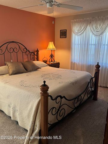 4370 Craigdarragh Avenue, Spring Hill, FL 34606