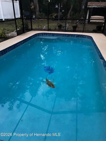 4370 Craigdarragh Avenue, Spring Hill, FL 34606