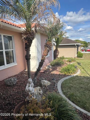 4370 Craigdarragh Avenue, Spring Hill, FL 34606