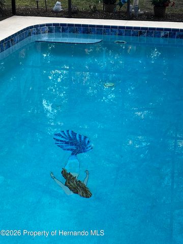 4370 Craigdarragh Avenue, Spring Hill, FL 34606