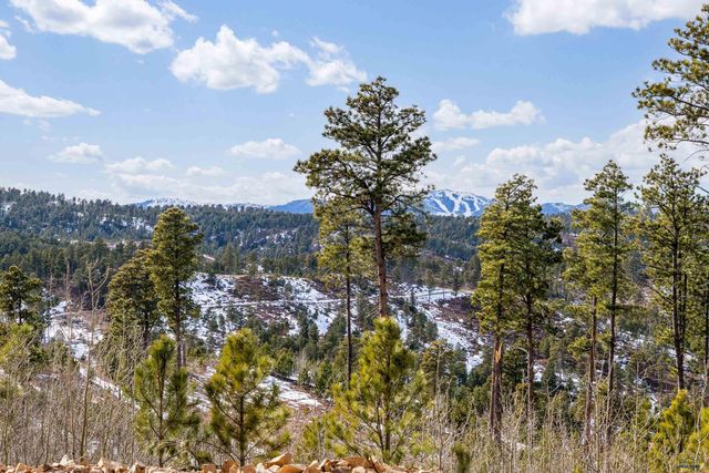 11837 GOLDEN RIDGE RD, Deadwood, SD 57732