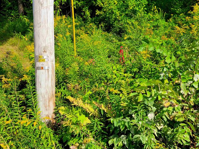 4440 Big Hollow Road, Starksboro, VT 05487