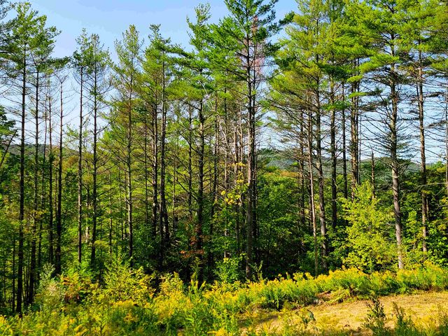 4440 Big Hollow Road, Starksboro, VT 05487