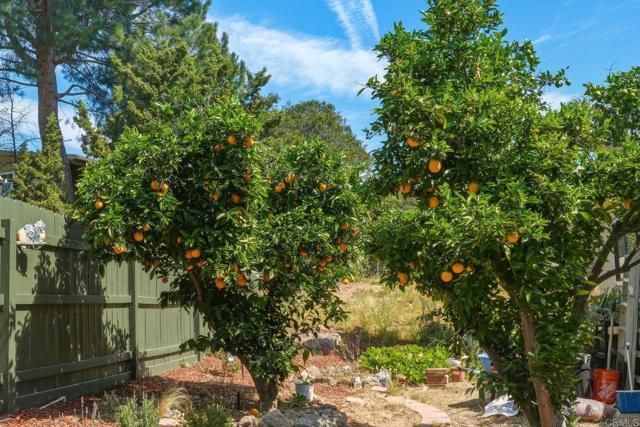 18218 Paradise Mountain Rd Spc 179 Lot 179, Valley Center, CA 92082