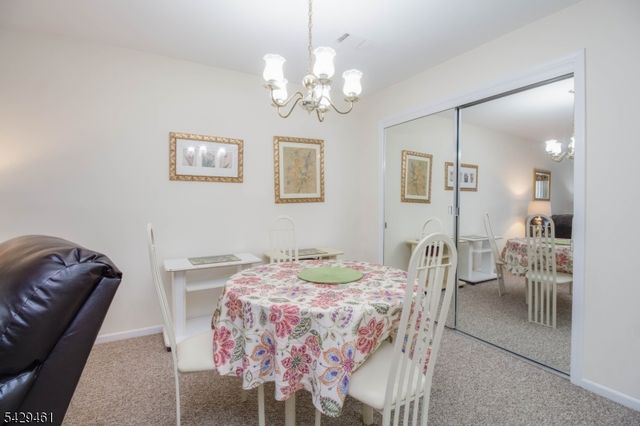 3 Sage Court, Bedminster Twp., NJ 07921