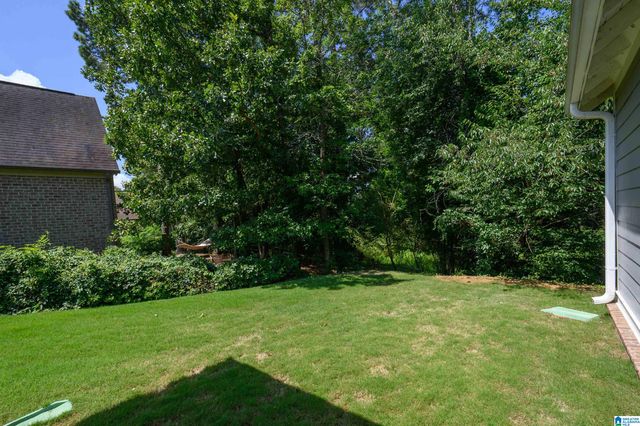 3889 JAMES HILL CIRCLE, Hoover, AL 35226