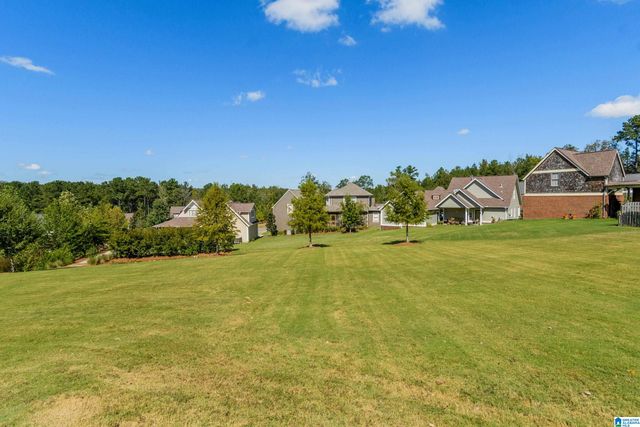 3889 JAMES HILL CIRCLE, Hoover, AL 35226
