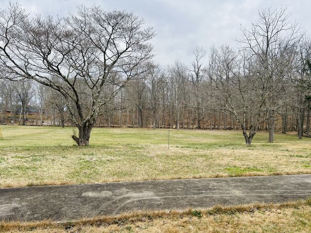 1301 Sycamore Dr, Manchester, TN 37355