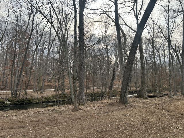 1301 Sycamore Dr, Manchester, TN 37355