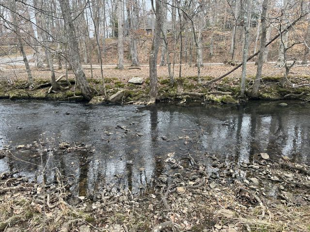 1301 Sycamore Dr, Manchester, TN 37355