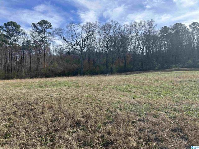 3450 SWEENEY HOLLOW ROAD, Pinson, AL 35126