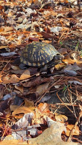 103 Dockside Drive, Jacksonville, NC 28546