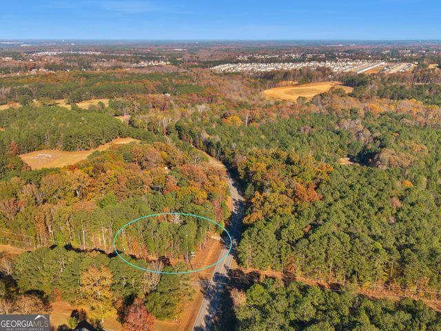 0 Freeman Road, Hampton, GA 30228