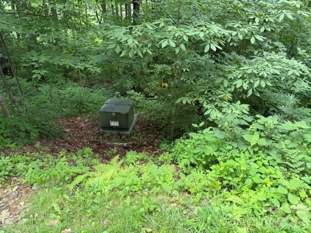 Lot 43 Gata Trail 43, Maggie Valley, NC 28751