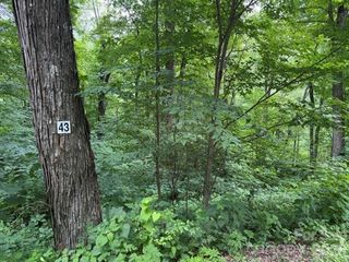 Lot 43 Gata Trail 43, Maggie Valley, NC 28751