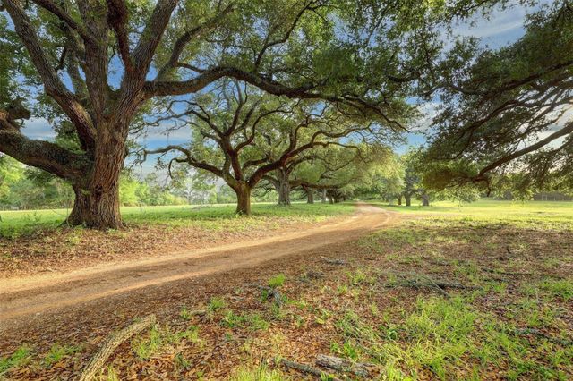 9601 Old Cedars Court, Plantersville, TX 77363