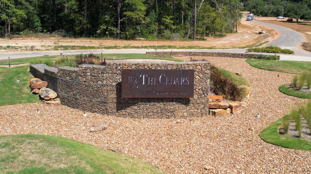 9601 Old Cedars Court, Plantersville, TX 77363