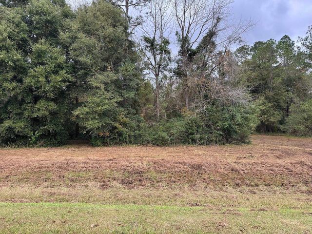 1113 Raven Run, Havana, FL 32333