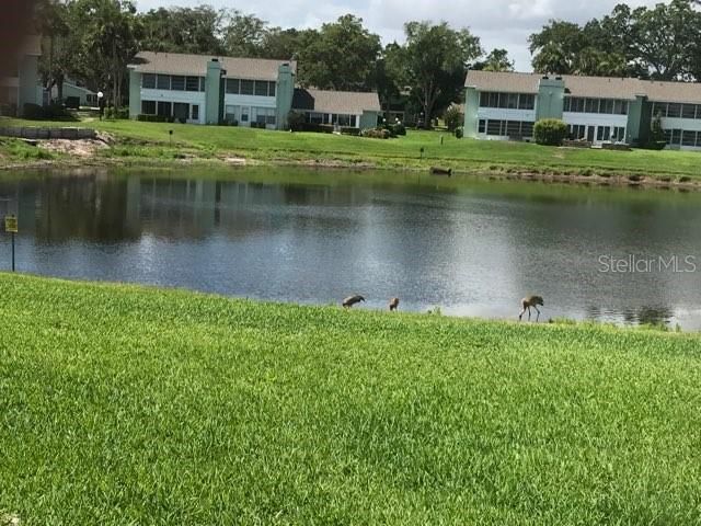 519 MIDWAY DRIVE A, Ocala, FL 34472