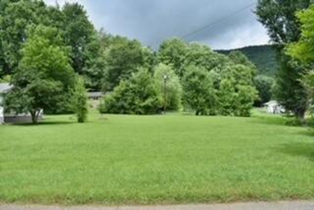 181 Spring Street, Spring City, TN 37381