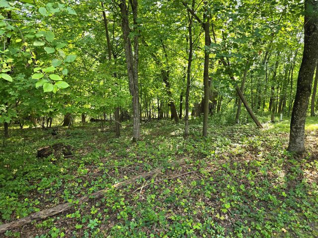 17135 200th Street, Audubon, MN 56554