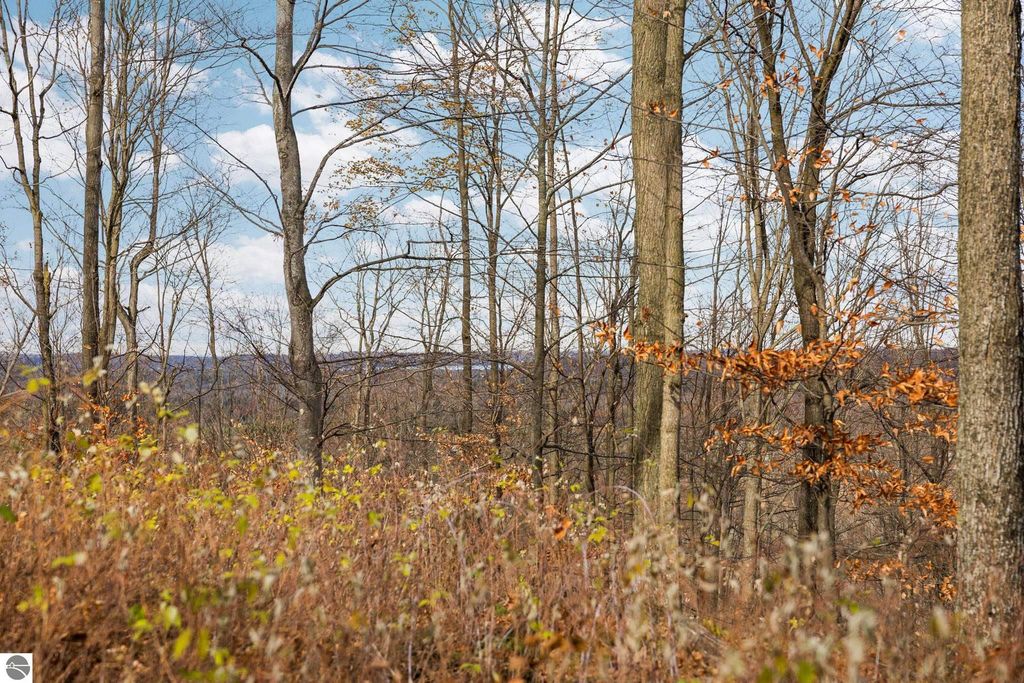 Image 9 of property listing at Lot D Retreats Way, Rapid City, MI 49676