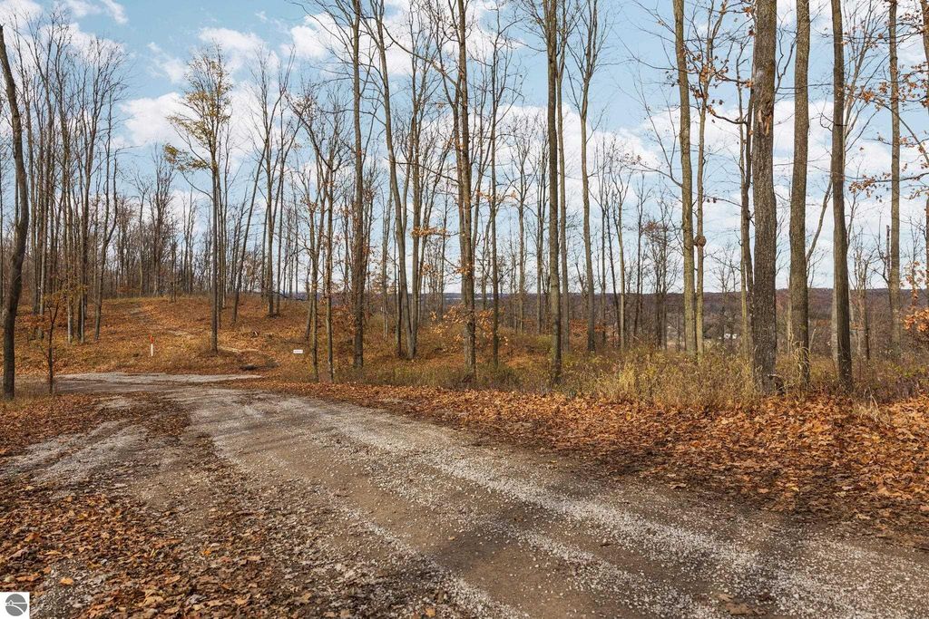 Image 4 of property listing at Lot D Retreats Way, Rapid City, MI 49676