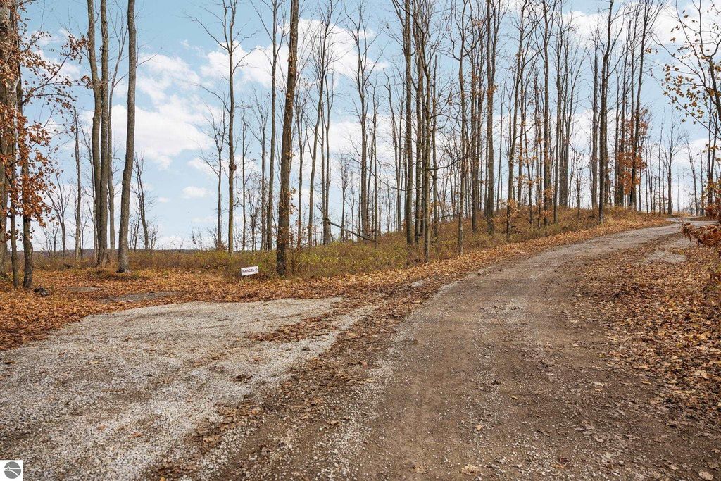 Image 5 of property listing at Lot D Retreats Way, Rapid City, MI 49676