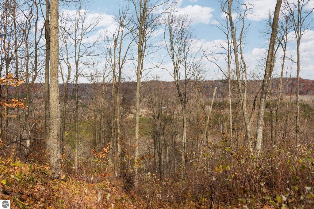 Image 8 of property listing at Lot D Retreats Way, Rapid City, MI 49676