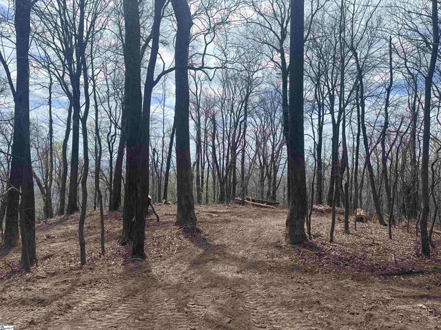 00 Flintrock Knob Lane, Landrum, SC 29356