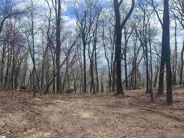 00 Flintrock Knob Lane, Landrum, SC 29356