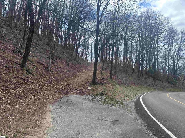 00 Flintrock Knob Lane, Landrum, SC 29356