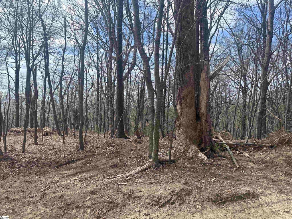 00 Flintrock Knob Lane, Landrum, SC 29356