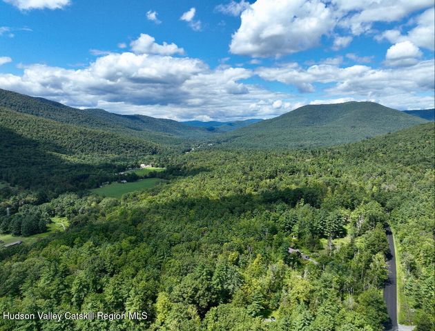 1311 Wittenberg Road, Mt. Tremper, NY 12457