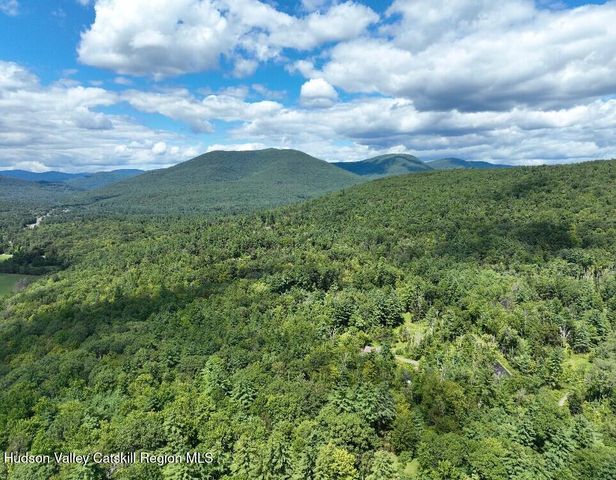 1311 Wittenberg Road, Mt. Tremper, NY 12457