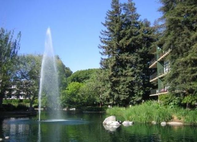 932 Peninsula Avenue 406, San Mateo, CA 94401