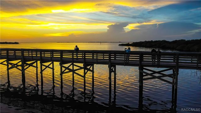 3792 E Kiwi Cove Court, Hernando, FL 34442