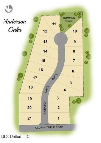 205 Anderson Oaks Drive, Pearl, MS 39208