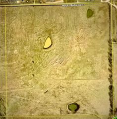 11601 Wolf Track Road, Summers, AR 72769