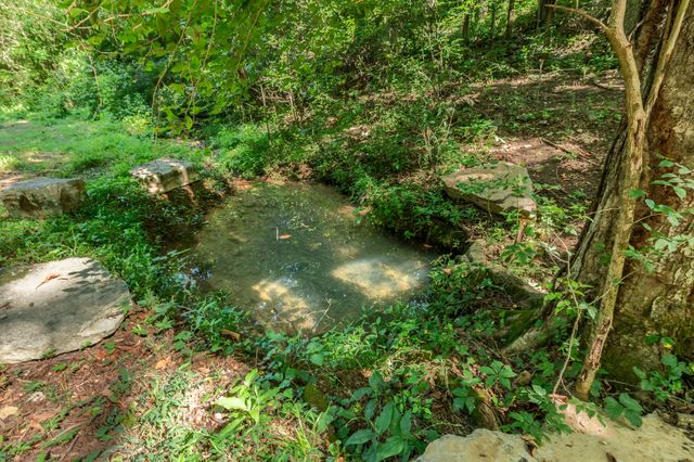 2952 Springplace Rd, Belfast, TN 37019